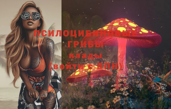 винт Алексин