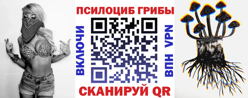 Псилоцибиновые грибы Psilocybe  Переславль-Залесский 